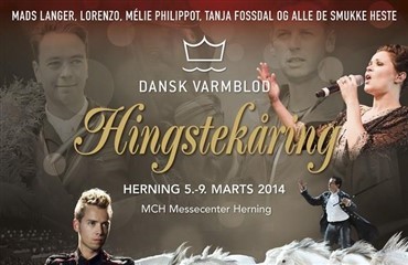 300 ekstra pladser ved Hingstek&aring;ringen