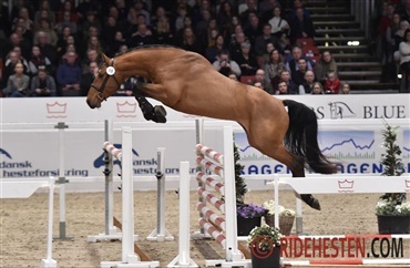 L&oslash;sspringningen er gennemf&oslash;rt med succes (video)
