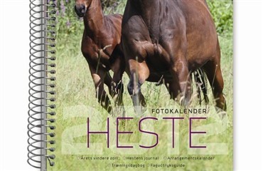 Mangler du en kalender for 2012?