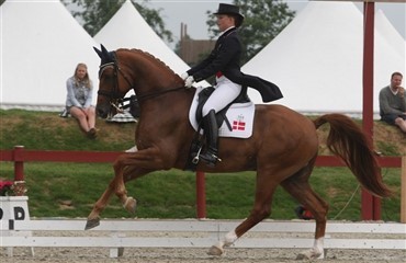 83,4% til Cathrine og Cassidy!