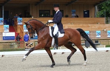 Daniel 6'er i Wiesbaden