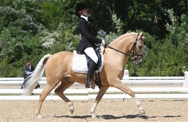 Ponylandshold til NM i dressur