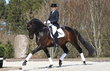 Landsst&aelig;vne i Hjallerup starter i dag