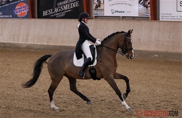 Nadja Aaboe Sloth med to GP-heste