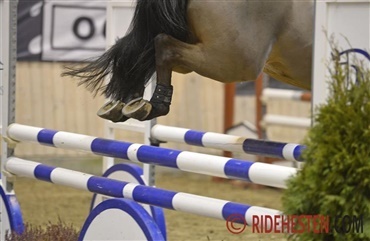 Holdene er sat til weekendens Baltic Cup