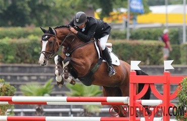 Tailormade-heste til topryttere