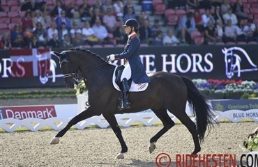 Holl&aelig;nderne yderligere sv&aelig;kkede