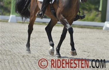 Norsk landshold 2013