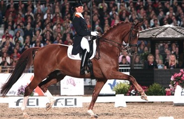 Cornelissen og Parzival i vinderform