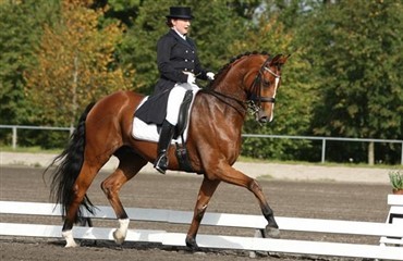 Danske resultater i Frankrig