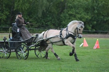 WebTV: DM p&aring; Birken