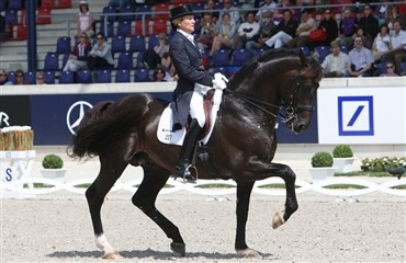 DV-heste til tops ved US VM-kvalifikation