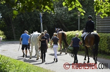 Eliteskuet har f&aring;et totalt voksev&aelig;rk
