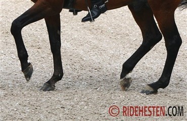 Ikaros i GPS-sejr i San Juan Capistrano