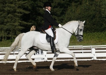 2009 EM i dressur for ponyer afholdes i Belgien 
