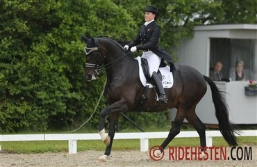 Bigwood og Orthilia i Grand Prix-sejr