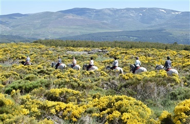 Sierra de Gredos – et ridt i midten af Spanien