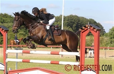 Masser af ridning i Kolding