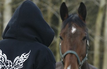 Avlshoppe mishandlet