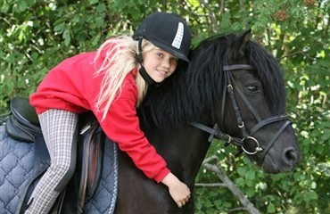 International ridehjelmsdag