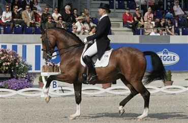 Aachen Grand Prix Kür i billeder
