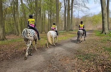 Nu skal der rides Halloween Ridt i Hedeland