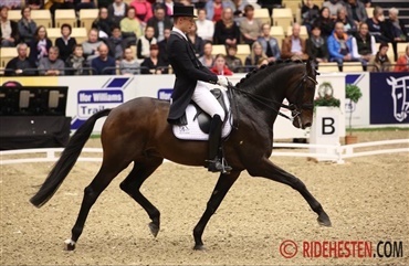 Dobbelt sejr til Daniel Bachmann og Blue Hors