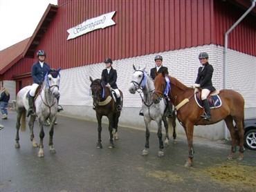 ”Blue Berry Hill”  til Grenaa