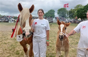 Har tinker racen sin egen fanklub i Roskilde?