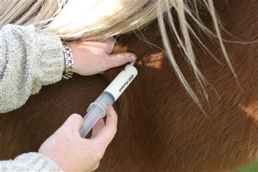 Antibiotikaresistens ogs&aring; hos heste