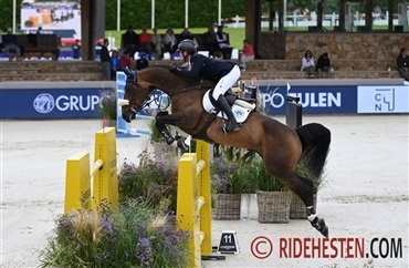 &Aring;rets springheste i Dansk Varmblod