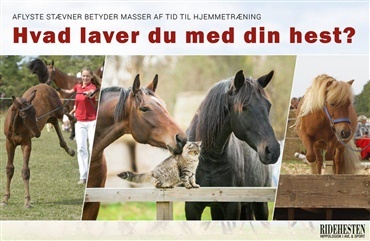 L&aelig;sertips til hjemmetr&aelig;ning under corona 