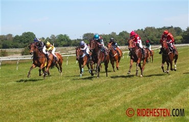 Derby p&aring; Klampenborg