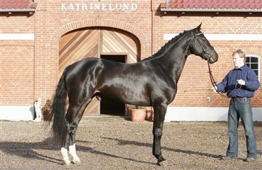 Forbesigtigelse p&aring; Katrinelund