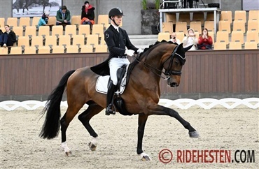 Dansk succes i Exloo
