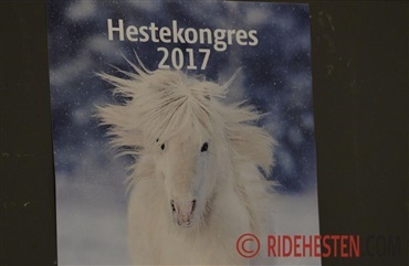 Medvind efter nogle &aring;r i krisens skygge