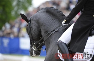 International sejr hos ungrytterne