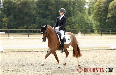Ponyrytterne sikrede topplaceringer i Belgien