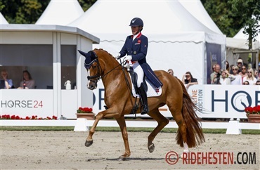 Quinn G's f&oslash;l er optaget i Dansk Varmblod