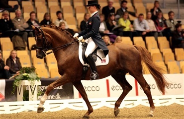 Anne Katrine og Bernstein i Frankfurt