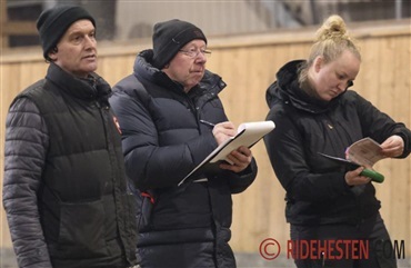 Fire hingste indsynet til test