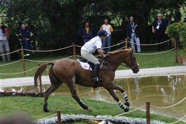 Zara Phillips' hest aflivet efter styrt