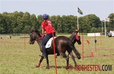 Kom i gang med ponygames og mounted games