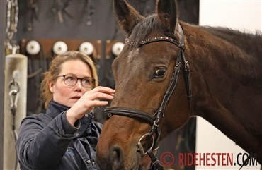 Trense og bid skal ogs&aring; tilpasses