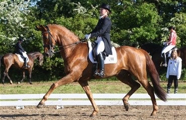 S&aring; g&aring;r det l&oslash;s i Stadlpaura
