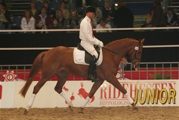KRAFFT Cup & Dansk Ride Forbunds Championat for ungheste