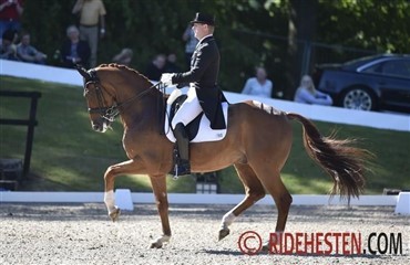 Danske placeringer i Hickstead