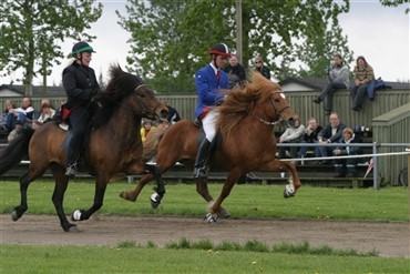 Mere Gangarts Cup
