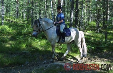 TREC bliver en disciplin