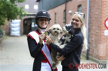 Laudrup-Dufour skal bygge deres fremtid